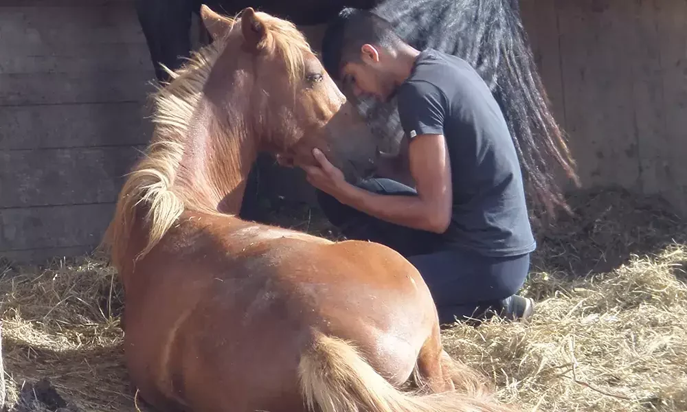 Contactez Equi Libre En Soi à Orthez