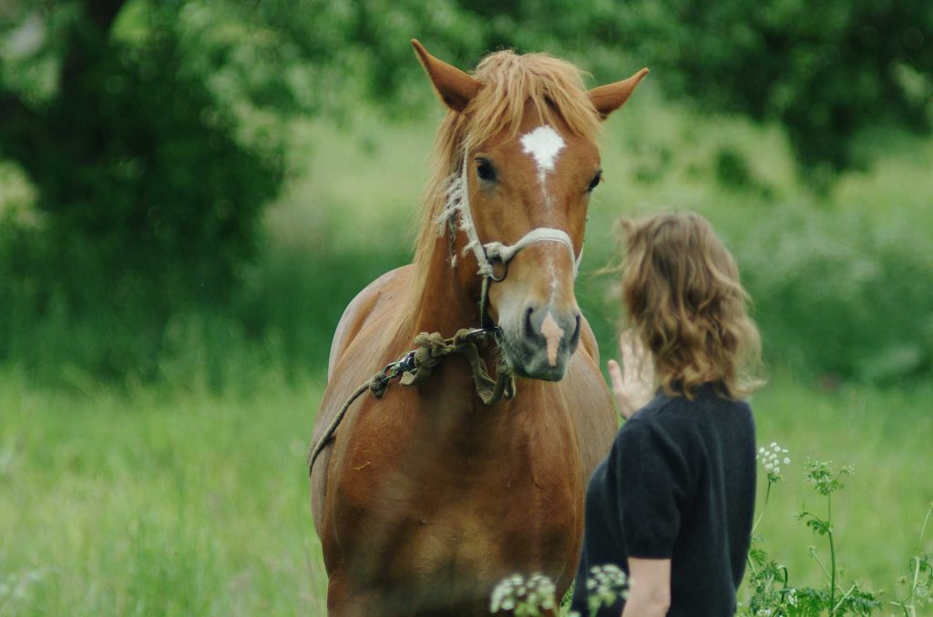 equi-libre-en-soi-4